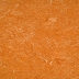 Marmorette dessert orange